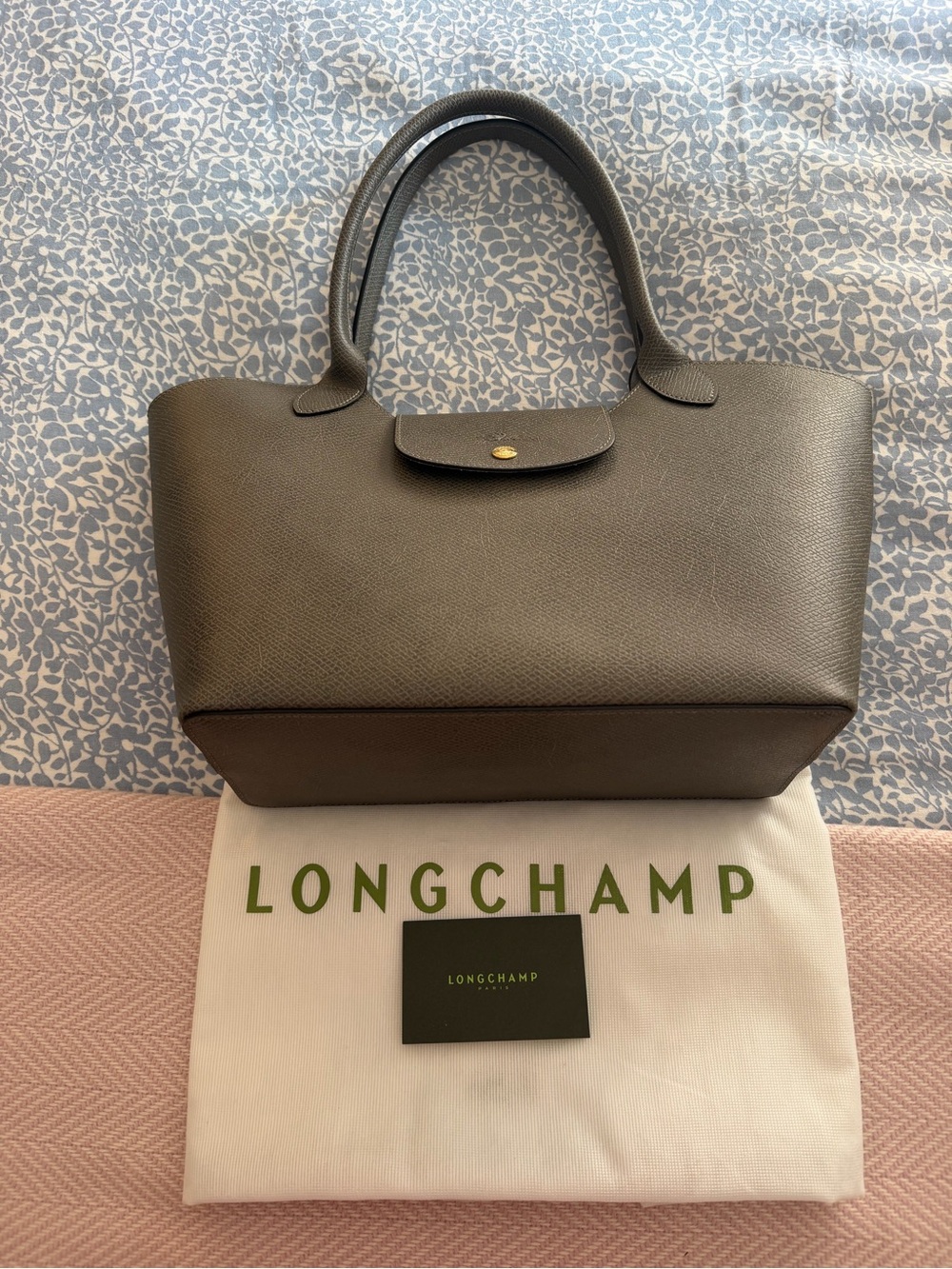 NWT LONGCHAMP ÉPURE L SHOULDER BAG - TURTLEDOVE 100% LEATHER - Picture 3 of 13